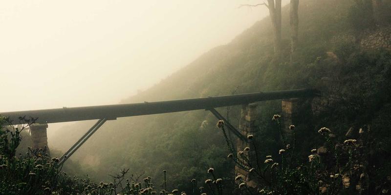 云原生网络服务网格双雄对决:Istio与Linkerd架构深度解析与实战选型指南