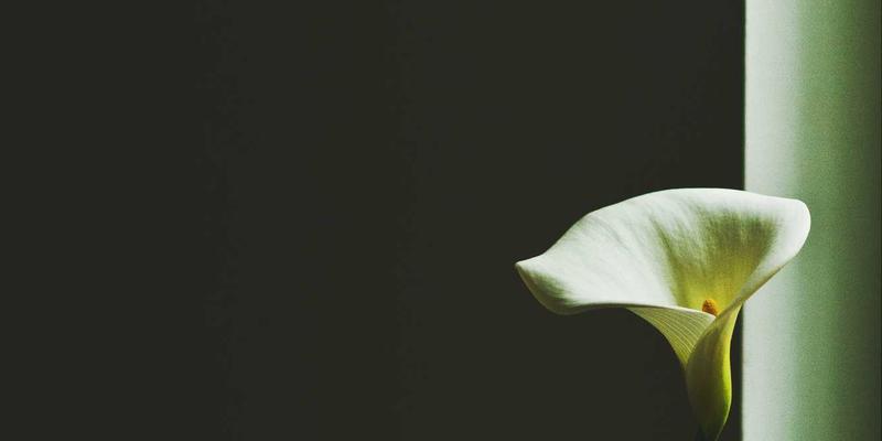 意图驱动网络：从业务需求到网络自动配置的闭环革命