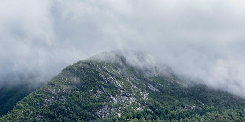 数字孪生赋能网络运维：AI模型驱动下的预测性维护实战指南